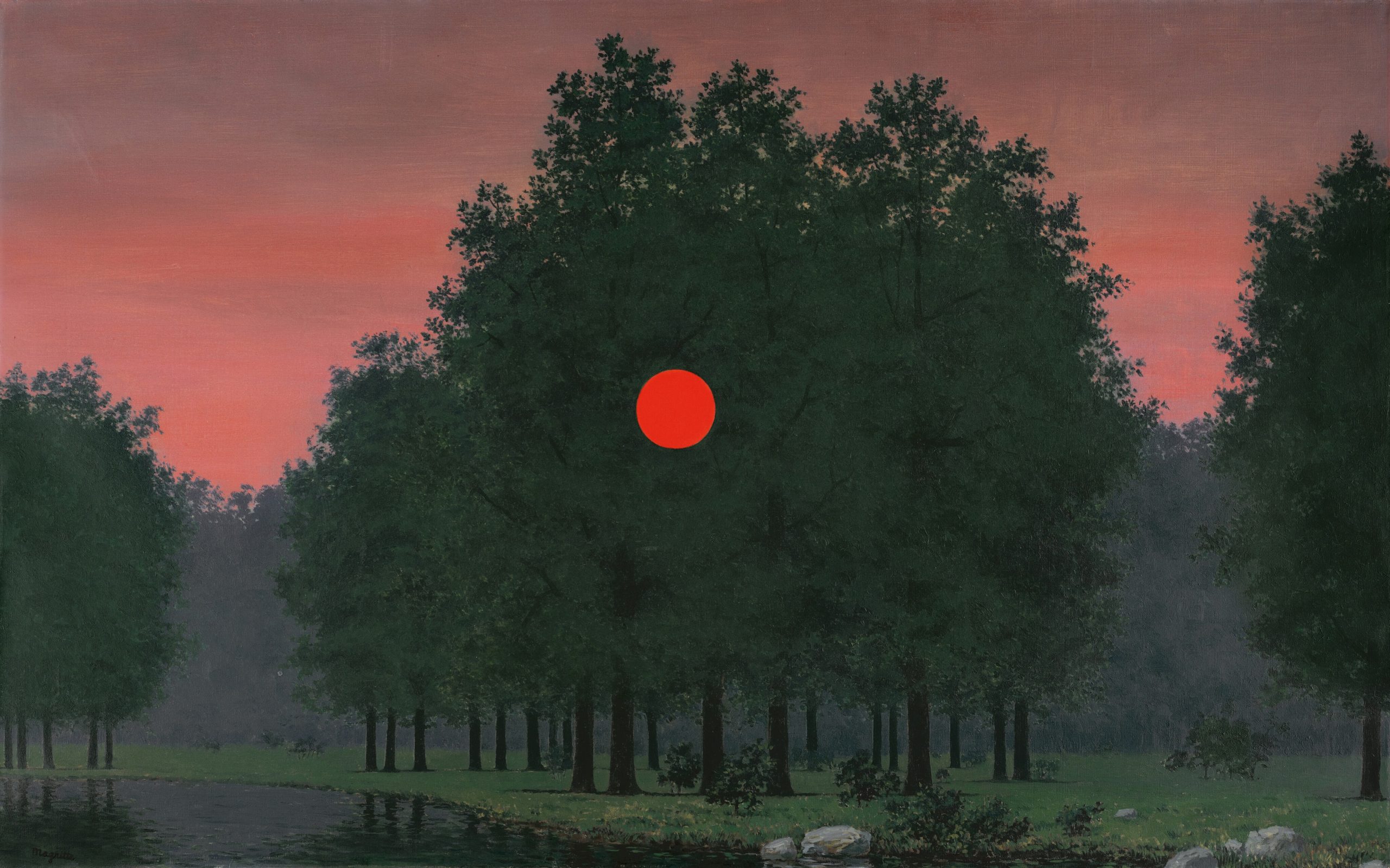 A red sun setting over dark trees at dusk